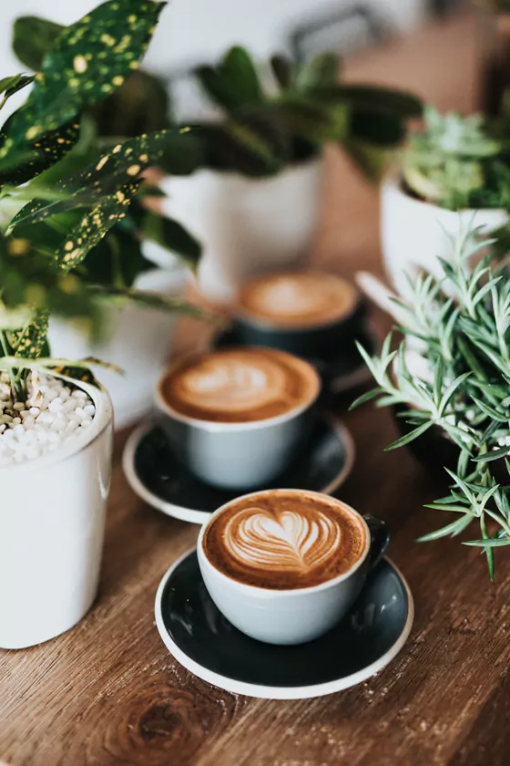 Dvě cappuccina s latte art na dřevěném stole mezi rostlinami